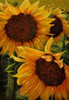 /album/fenykepgaleria/a-nap-szerelmesei-jpg/